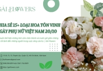 Chia sẻ một số loài hoa tôn vinh ngày Phụ Nữ Việt Nam 20/10 | Gái Flowers