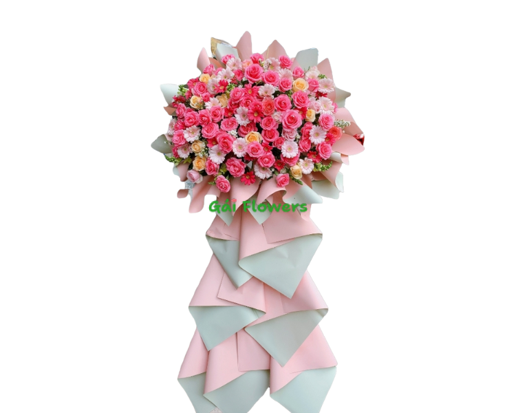 Khai Trương Cora-KT1